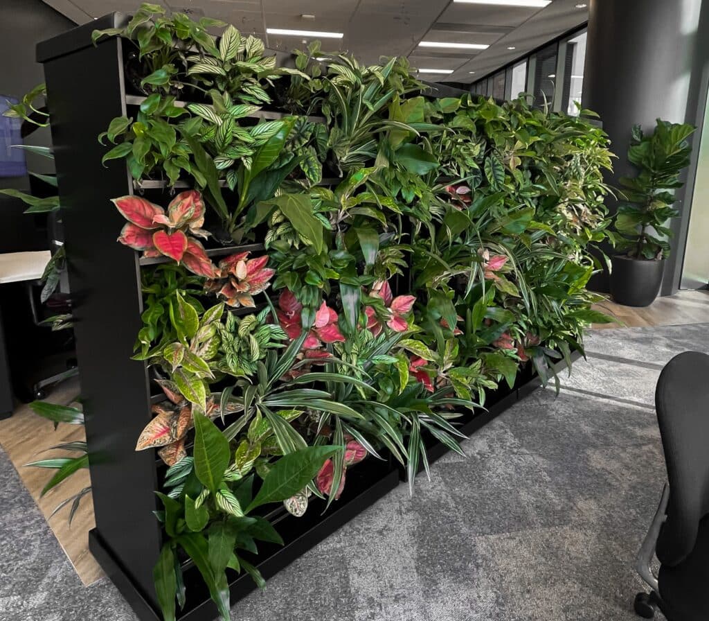 A Green Wall used to divide office spaces