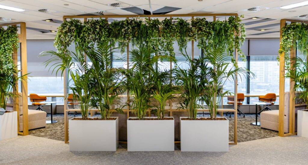 workplace greenery as a space divider