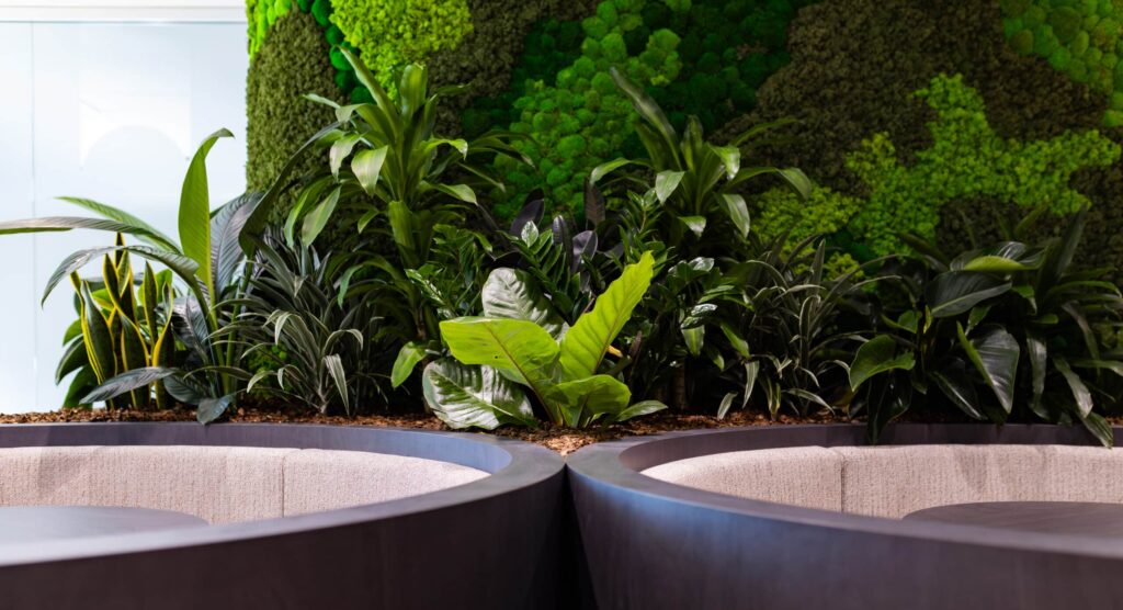 workplace planting into joinery