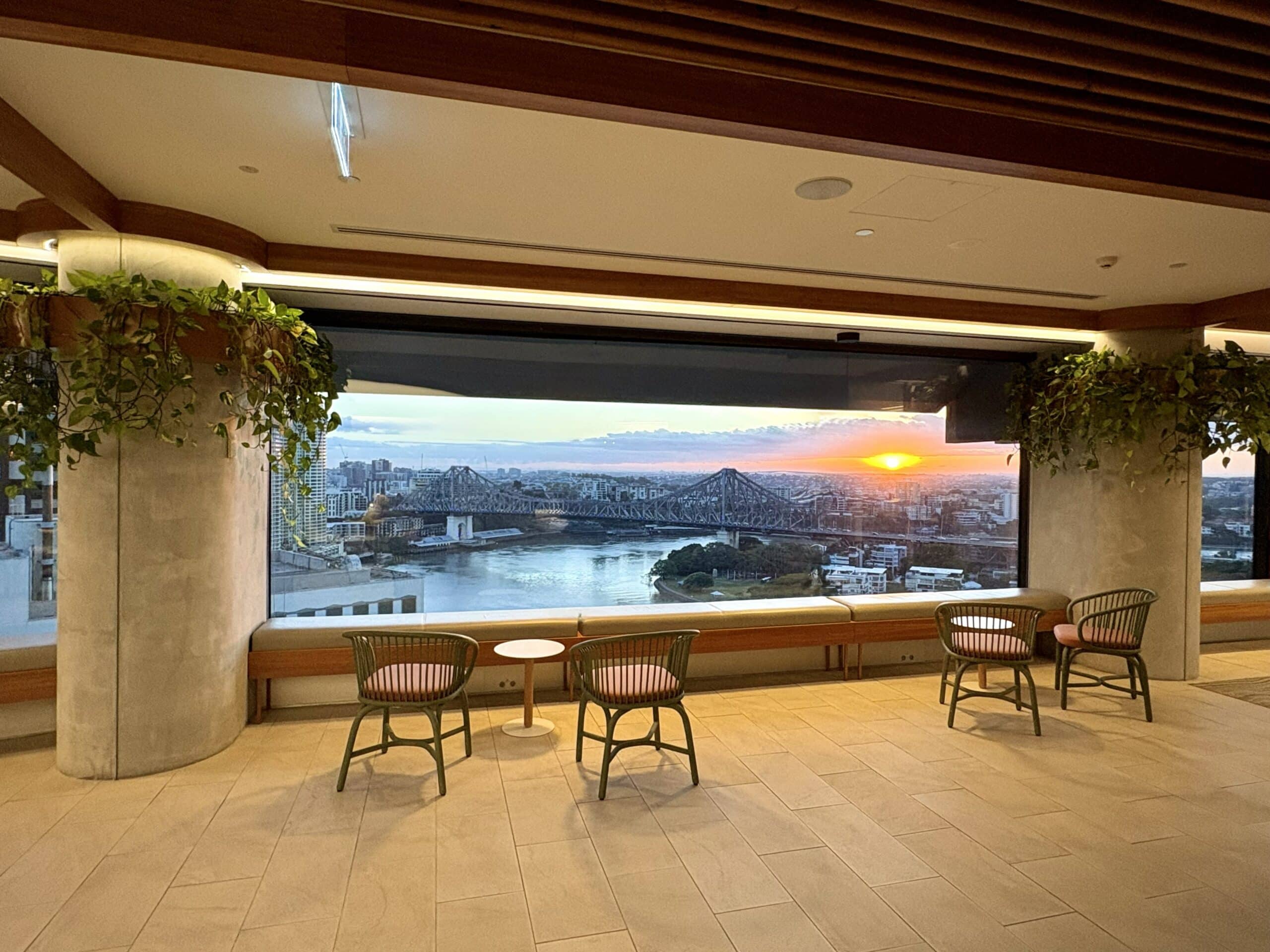 indoor plants for waiting rooms, indoor plants for reception areas, waiting room plants, reception plants, commercial indoor plants, indoor plant hire, biophilic design, reception area planting,